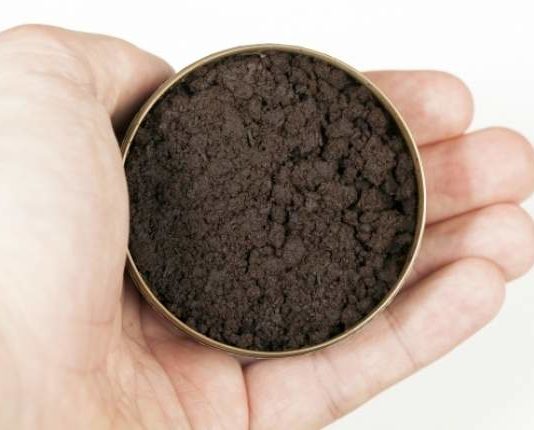 Ce este Tutunul de Mestecat? tutunul de mestecat