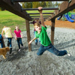 Oasele și Sistemul Osos oase