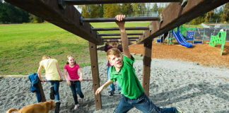 Oasele și Sistemul Osos oase