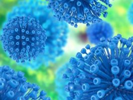 Virusul Imunodeficienței Umane (HIV) hiv